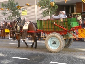 San antonio abad 2012 (32)