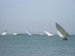 Valencia. Albufera