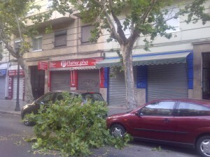 La rama cayó en el espacio existente entre los dos coches aparcados en Micer Mascó/vlcciudad La rama cayó en el espacio existente entre los dos coches aparcados en Micer Mascó/vlcciudad