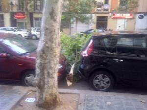 Vista de la zona de la caída desde la acera/vlcciudad Vista de la zona de la caída desde la acera/vlcciudad