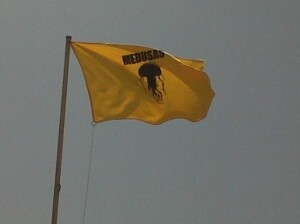 Una bandera se coloca en algunas playas para avisar de la presencia de medusas en el mar 