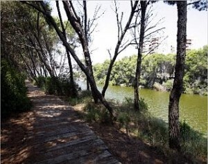 Uno de las zonas de uno de los seis itinerarios peatonales/albufera Uno de las zonas de uno de los seis itinerarios peatonales/albufera