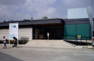 Museo de Historia Natural