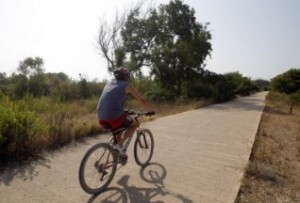 Un hombre circula en bici por uno de los senderos de la Dehesa