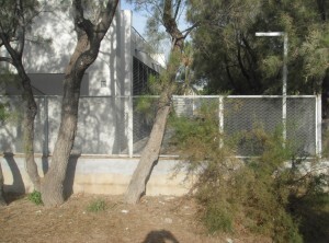 Un árbol caído por el temporal de hace varios días en una de las vallas/eu