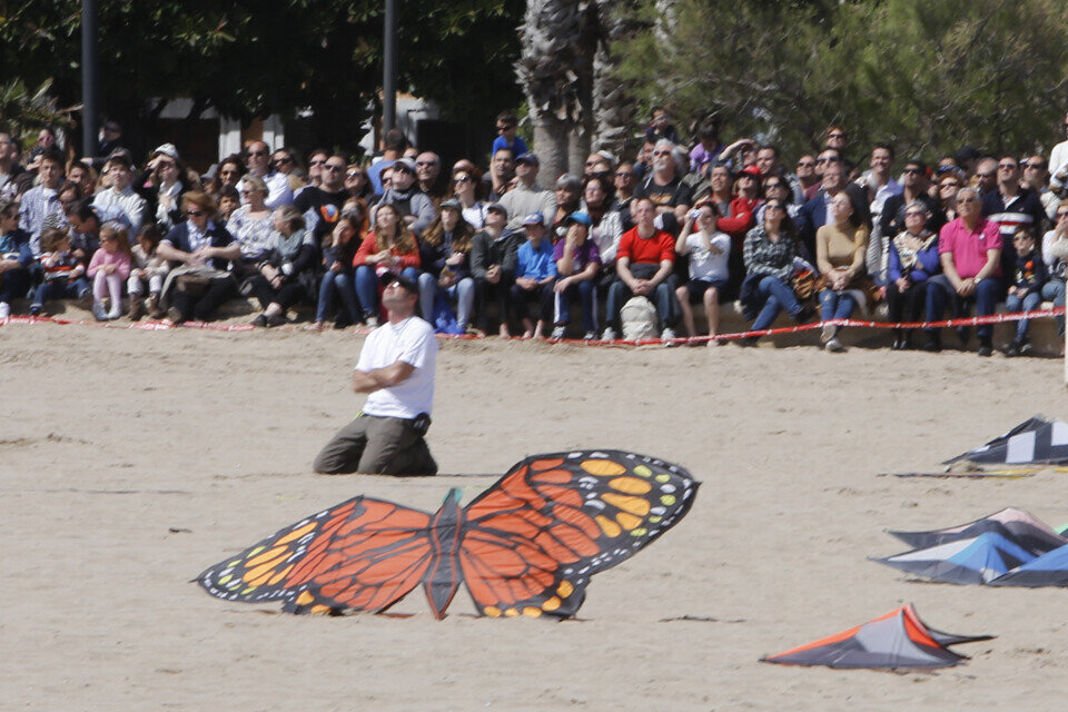 XVI FESTIVAL DE COMETAS, PLAYA MALVARROSA.