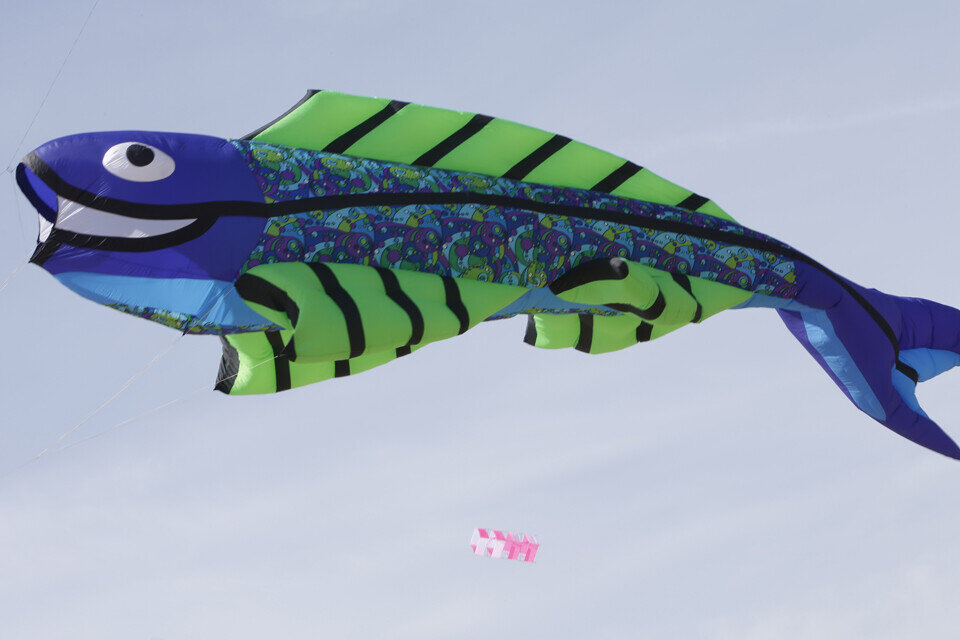 XVI FESTIVAL DE COMETAS, PLAYA MALVARROSA.