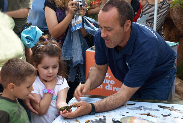 Taller de anillamiento - Seo BirdLife Valencia