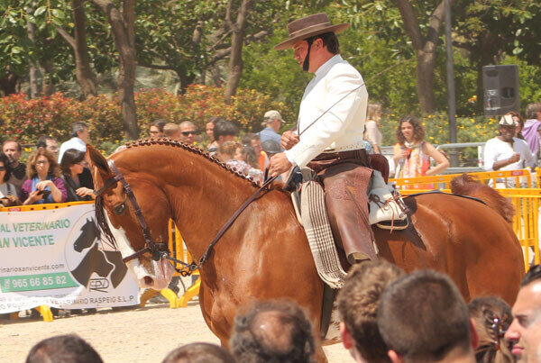 valenciacaballo-06