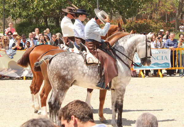 valenciacaballo-07