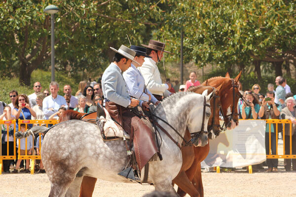 valenciacaballo-10
