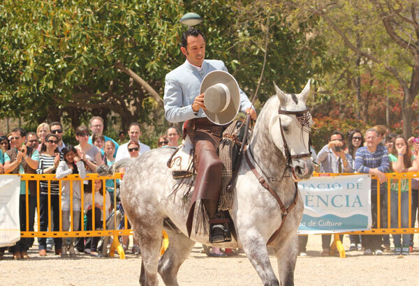 valenciacaballo-12