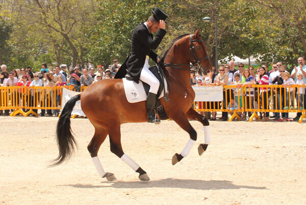valenciacaballo-18