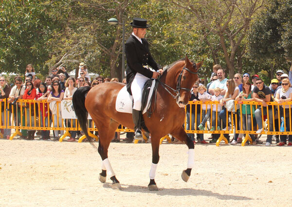 valenciacaballo-20