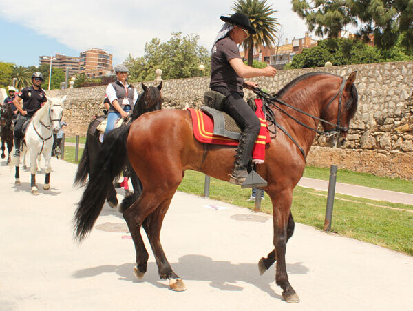 valenciacaballo-35