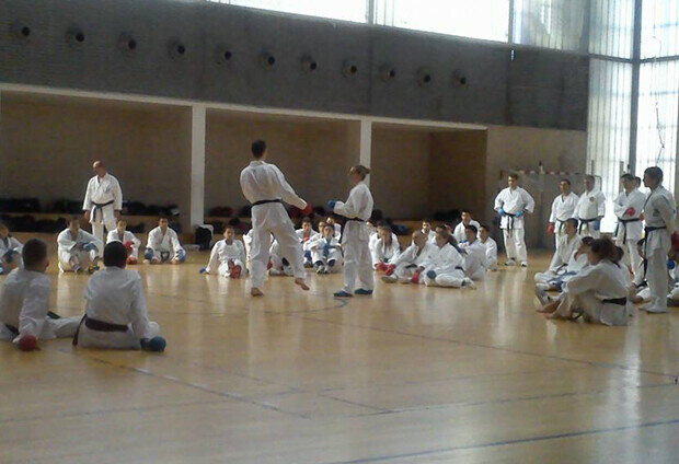 945971_351895088289977_382823475_n