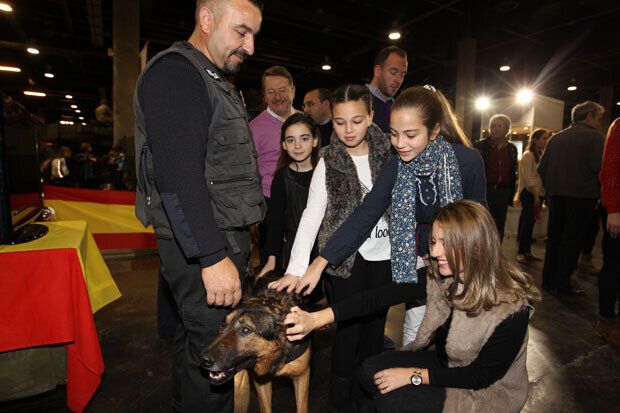 expojove-cortes-perros