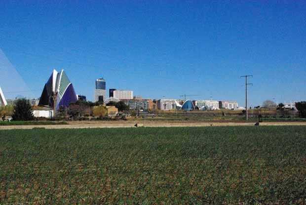 Horta de Rovella con la Ciudad de las Artes y las Ciencias al fondo