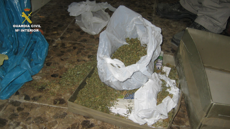 2015-08-27_burrito_02