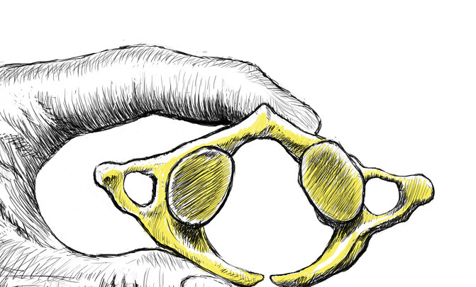 150929_Vertebra_Atlas_Neandertal_definitiva_image671_405