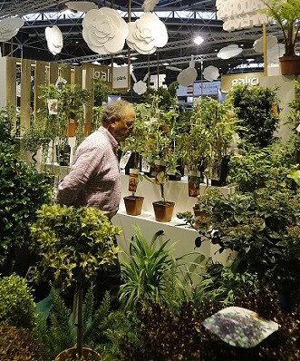 Como medidas preventivas los expertos abogan por controlar el movimiento de plantas de vivero. (Foto-Manuel Molines)