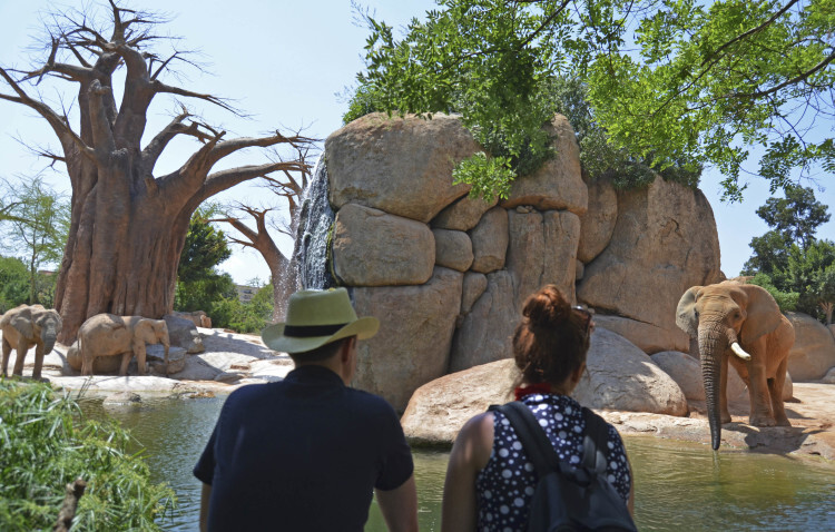 BIOPARC Valencia obtiene el Reconocimiento de Excelencia de TRIPADVISOR por sexto año consecutivo - Zooinmersión