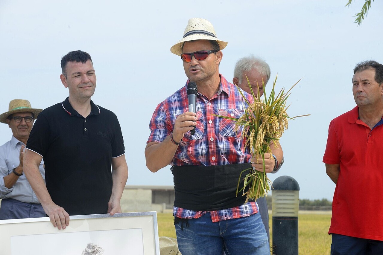 971a4891-e78b-4276-84e2-e0f4300b49c2