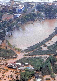 La consellera ha puesto de relieve la incompatibilidad de determinados artículos.