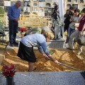 Comienza la exhumación de la Fosa 82 del cementerio de Paterna financiada por la Diputación de Valencia.
