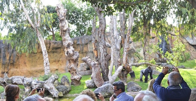 Viajes Azul Marino-Club Marco Polo y Kananga, pionera en España en rutas por África con vehículos especializados, presentan a 100 personas la magia de los Safaris.