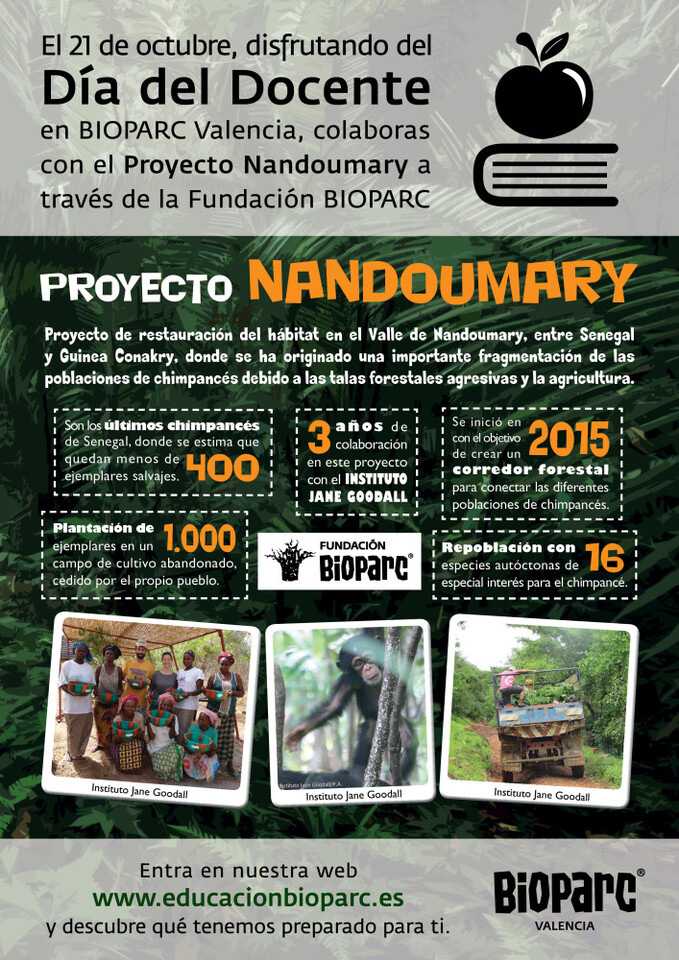 CARTEL_DiaDocente
