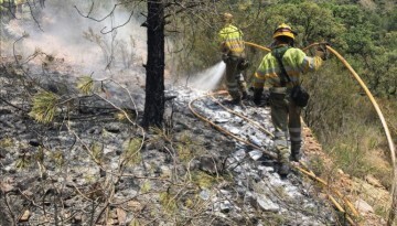 Incendio de Monte Picayo