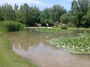 Una zona del lago del Parque de La Rambleta 