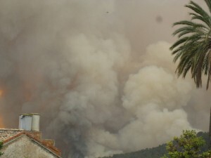 Incendio de Cortes de Pallás