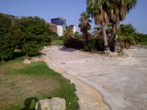 Otra zona del rio seco con los bloques de edificios del complejo Aqua al fondo/vlcciudad