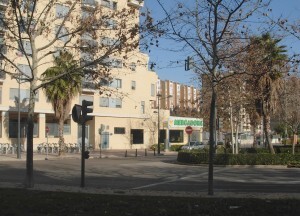 Avenida Alfahuir
