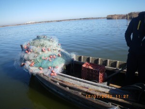 Proa de una de las casi 900 embarcaciones registradas con el lago de fondo/plv