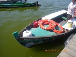Una de las embarcaciones en una de las zonas de atraque del lago de la Albufera/plv