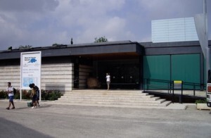 Las colecciones se reubicarán en un futuro recinto que se hará para ampliar el Museo de Ciencias Naturales de Viveros