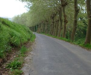 Camino de Santiago