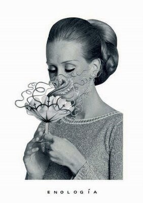 Obra de S. Mackaoui