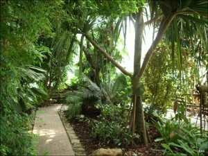 Espacio verde en la ciudad Espacio verde en la ciudad