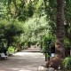 El ayuntamiento invertirá en mejoras en el Jardín de Ayora