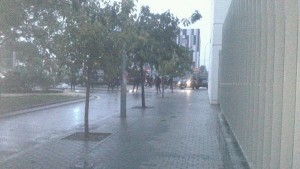 Efectivos policiales en el Campus de Tarongers/L Áccent Efectivos policiales en el Campus de Tarongers/L Áccent