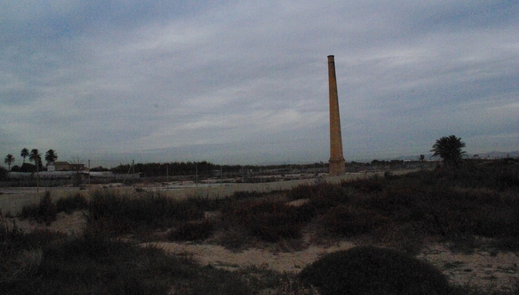 Área de El Saler que propone regenera el PSPV/gms
