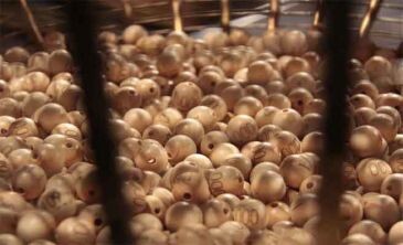 El 22.343 muy repartido.