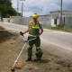Un jardinero mantiene una zona verde