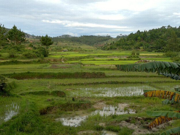 norte