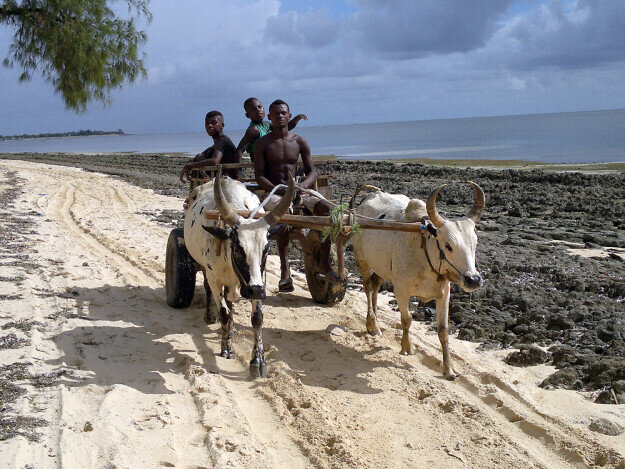 Tres muchachotes de la etnia Vezo yendo al pueblo mas cercano a ver si hay mozas que quieran dar un paseo.