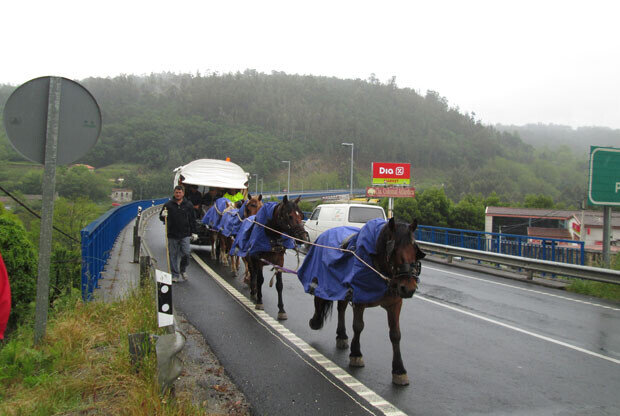 Camino-Santiago-press2